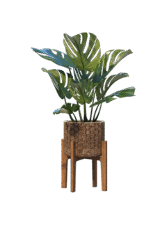 shop-lifestyle-bg-05