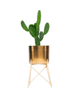 shop-lifestyle-bg-07