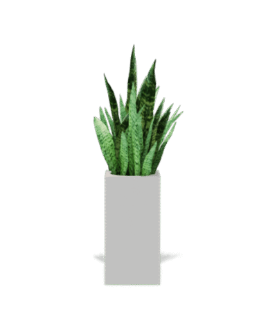 shop-lifestyle-bg-07